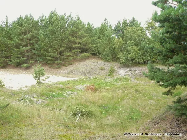 Wyrobisko po wyrzutni rakietowej w byym 64. dr OP m. Hel-Br.